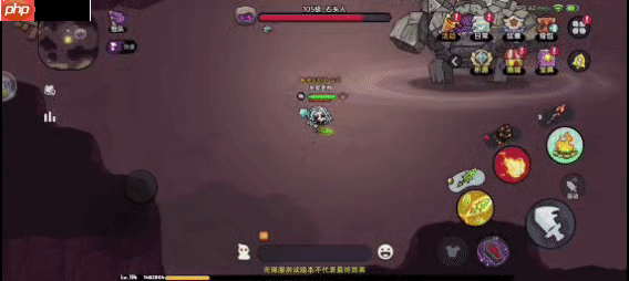 英勇之地石头人Boss全面攻略：技能详解与实战技巧