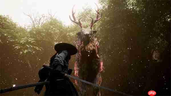 宝可梦团队类魂新作《轮回之兽》上架Steam 支持中文