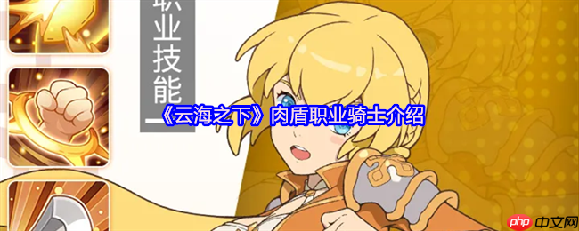 云海之下骑士职业全解析 零氪党首选铁壁防御体系攻略