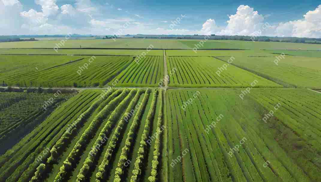 制作农业知识APP,怎样结合线下服务?