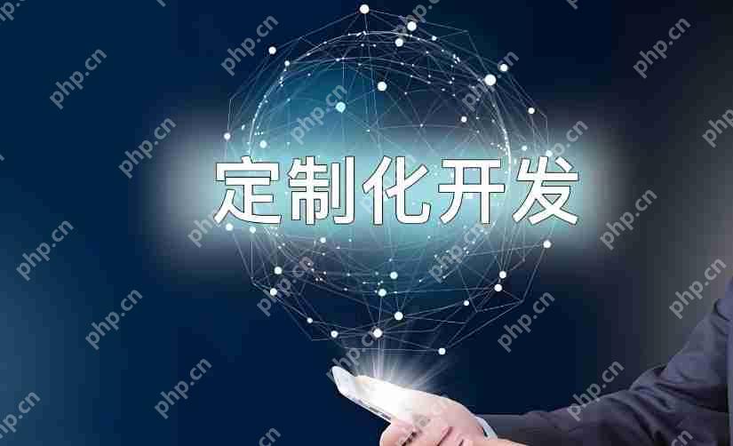 大型企业APP定制开发:有哪些专属服务?