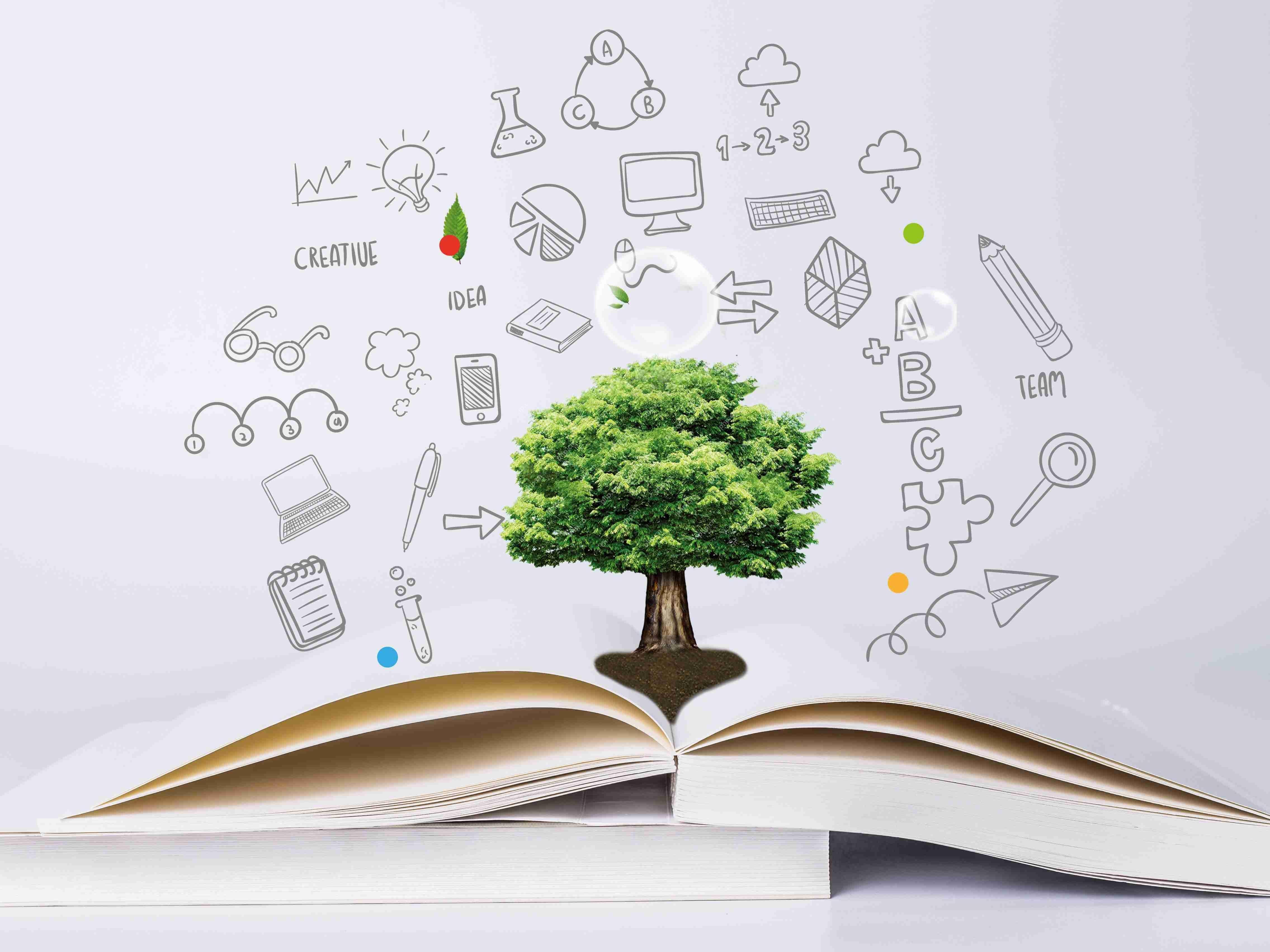 解锁知识宝藏!知识阅读APP开发的必备要素