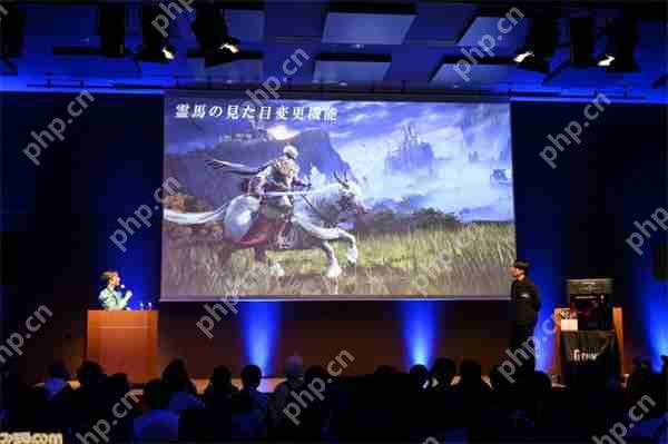 NS2《艾尔登法环：褪色版》新情报：新增两大职业