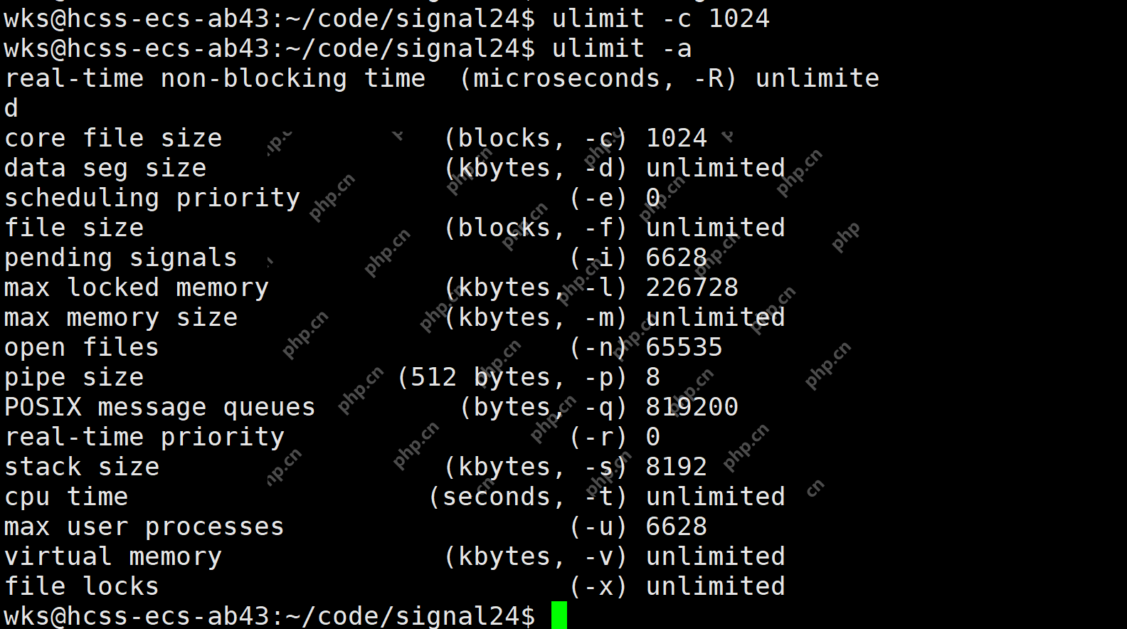 【linux学习指南】Linux进程信号产生(三) 硬件异常&&除零出错？&&野指针异常？&&core文件