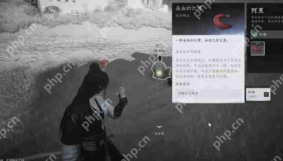 燕云十六声红缨任务全流程详解：轻松获取染血红缨攻略