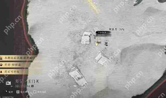 燕云十六声红缨任务全流程详解：轻松获取染血红缨攻略