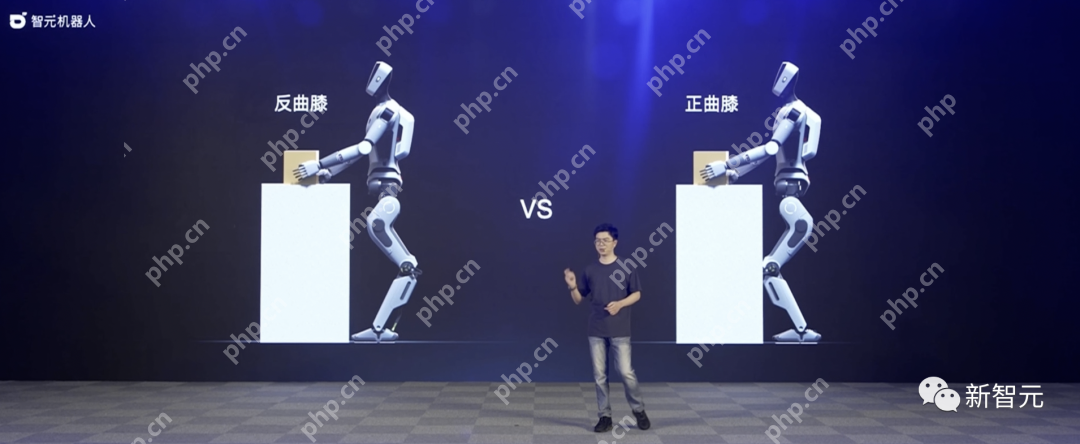 天才少年稚晖君智元机器人走路进场！AI模型做大脑，目标售价20万以内