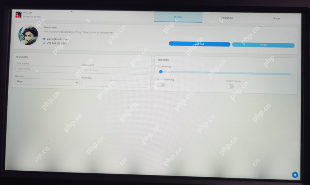 LVGL案例分享--手把手教你移植到T113-i国产工业开发板