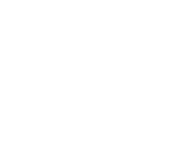虚拟化分类与 I/O 虚拟化技术概述