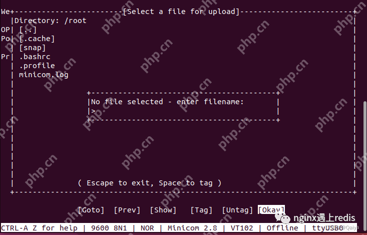 minicon安装与xmodem文件传输