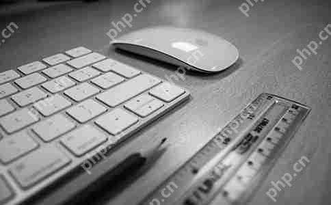 中高端软件开发一站式服务商