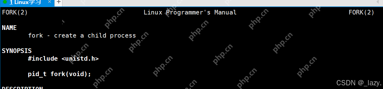 初识Linux · 进程（2）