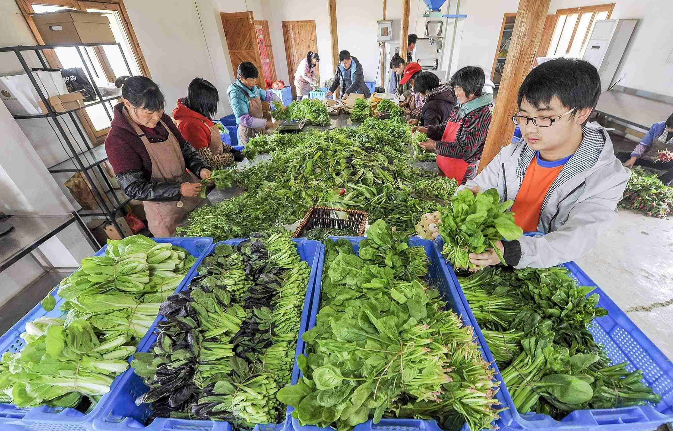 蔬菜配送APP开发怎么做?同城配送APP怎么经营_解决方案