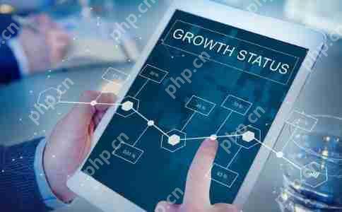 开发定制医护系统源码团队建设与项目管理