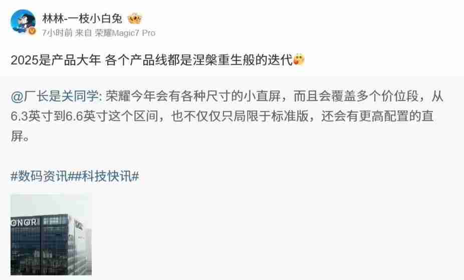 荣耀林林：2025，各产品线将迎来“涅槃重生般的迭代”