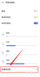 vivo手机怎么单独调整特定应用音量_在vivo手机上单独调节单个应用的音量设置