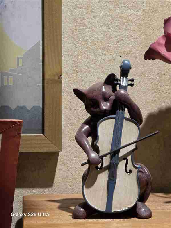 真正的安卓机皇只有一款！三星Galaxy S25 Ultra上手