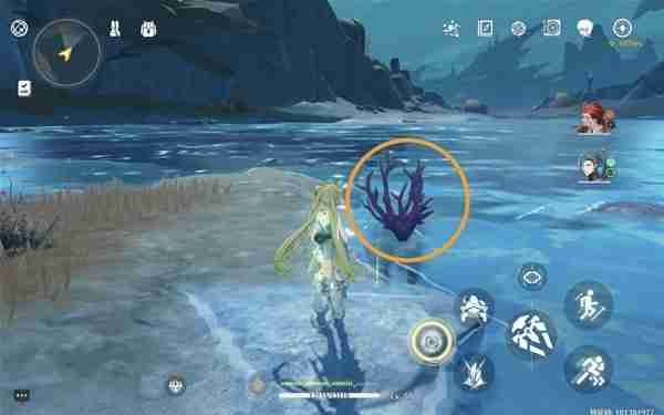 《鸣潮》紫珊瑚点位分享-《鸣潮》紫珊瑚采集线路指南