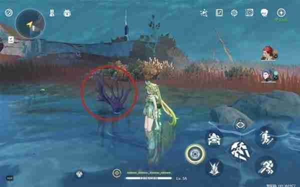 《鸣潮》紫珊瑚点位分享-《鸣潮》紫珊瑚采集线路指南