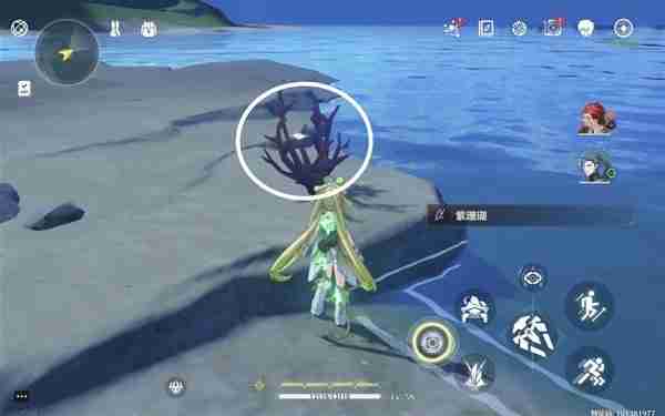 《鸣潮》紫珊瑚点位分享-《鸣潮》紫珊瑚采集线路指南