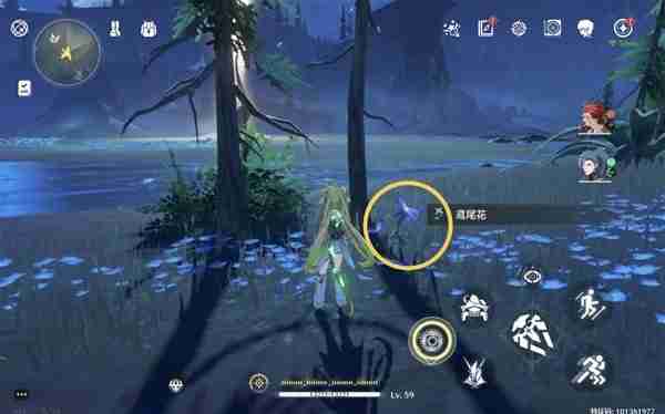 《鸣潮》鸢尾花位置说明-鸢尾花采集线路分享