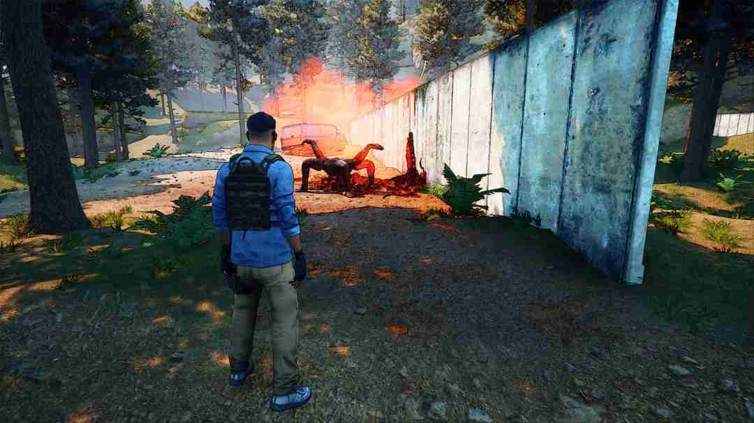 奇异地平线：探索异界裂缝的生存冒险