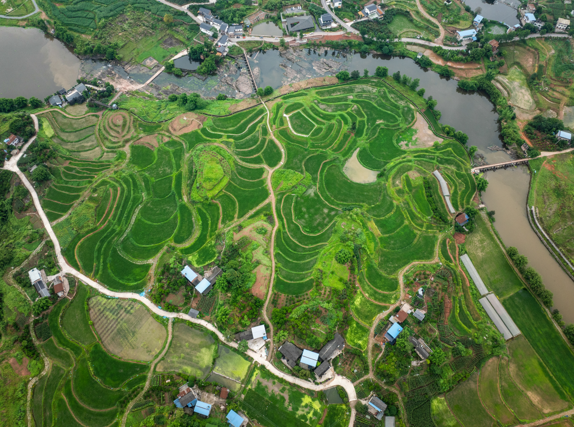 云雾花涧特色活动