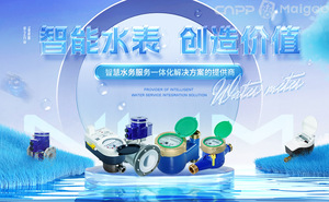 最受欢迎的水表前十名 市场上人气爆棚的水表品牌