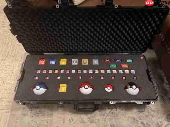 《宝可梦》玩家卡带特制包引热议 即便末日也能扛！