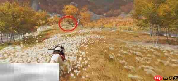 羊蹄山之魂琥憩祭坛在哪里 羊蹄山之魂琥憩祭坛位置详情