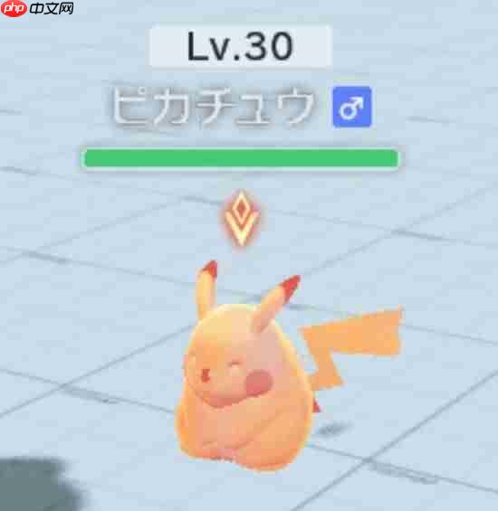 晨报|宝可梦Gen10新情报 Steam平安夜大崩溃