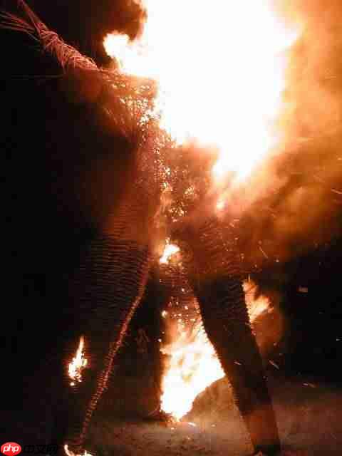 诡异又迷人!《神界》预告片获《神界:原罪2》演员点赞