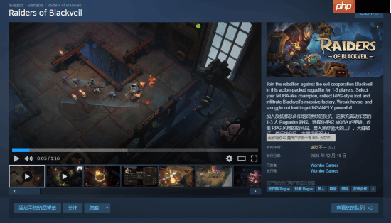 《Raiders of Blackveil》Steam首发褒贬不一 玩家：土豆服务器还敢强制联网？