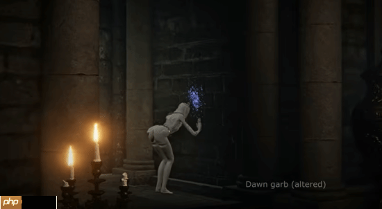 《艾尔登法环：黑夜君临》修女全皮肤舔墙合集：你最喜欢哪套衣服？