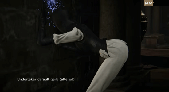 《艾尔登法环：黑夜君临》修女全皮肤舔墙合集：你最喜欢哪套衣服？