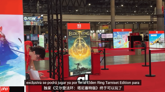 NS2《艾尔登法环》优化可喜!可算能正常玩了