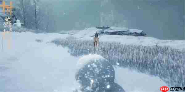 燕云十六声化身为墩奇术获取方法