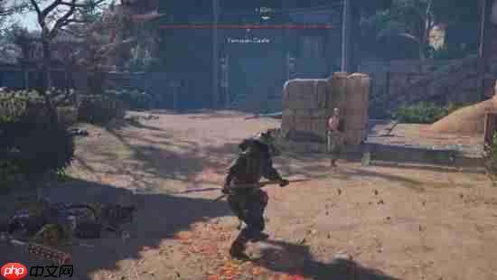 育碧大作《刺客信条：影》登陆NS2!目标