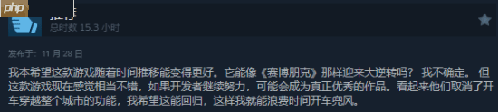 想当下一个《2077》?《心之眼》Steam评价升至