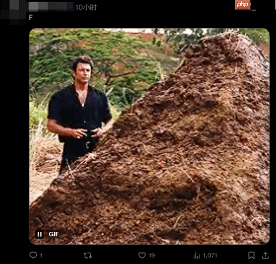 调查显示超40%玩家“很不满”Xbox新发布会！你觉得如何？