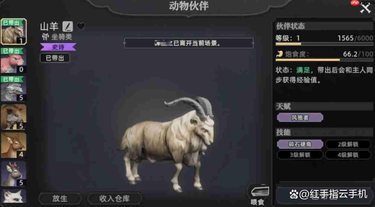 荒原曙光五大实用宠物推荐