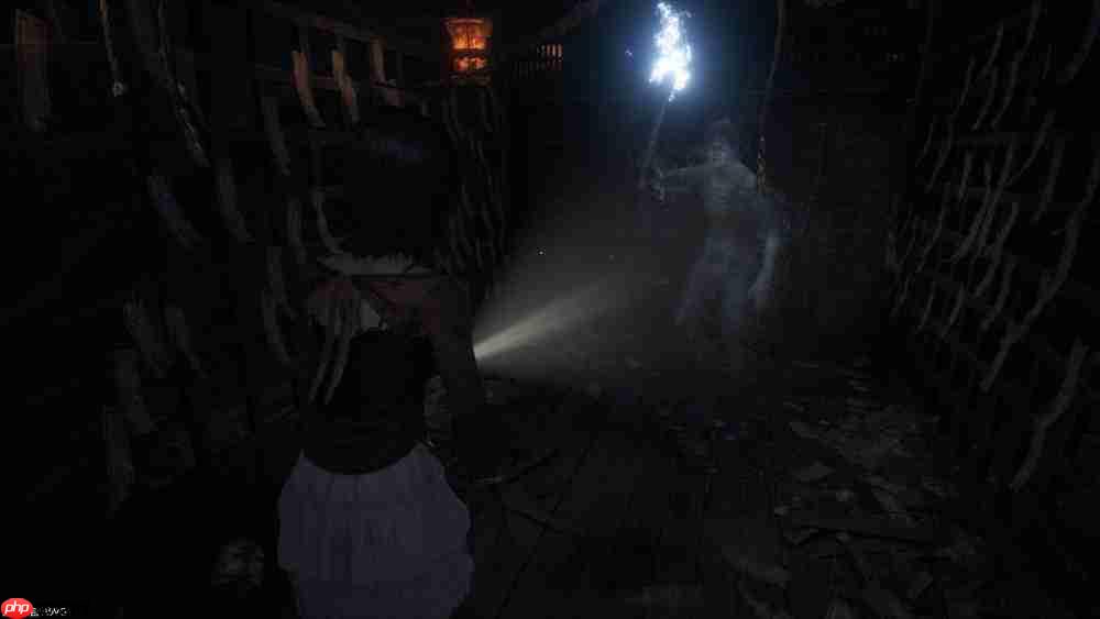 『零 ~红蝶~ REMAKE』2026年3月12日(四)发售决定 预购开放中