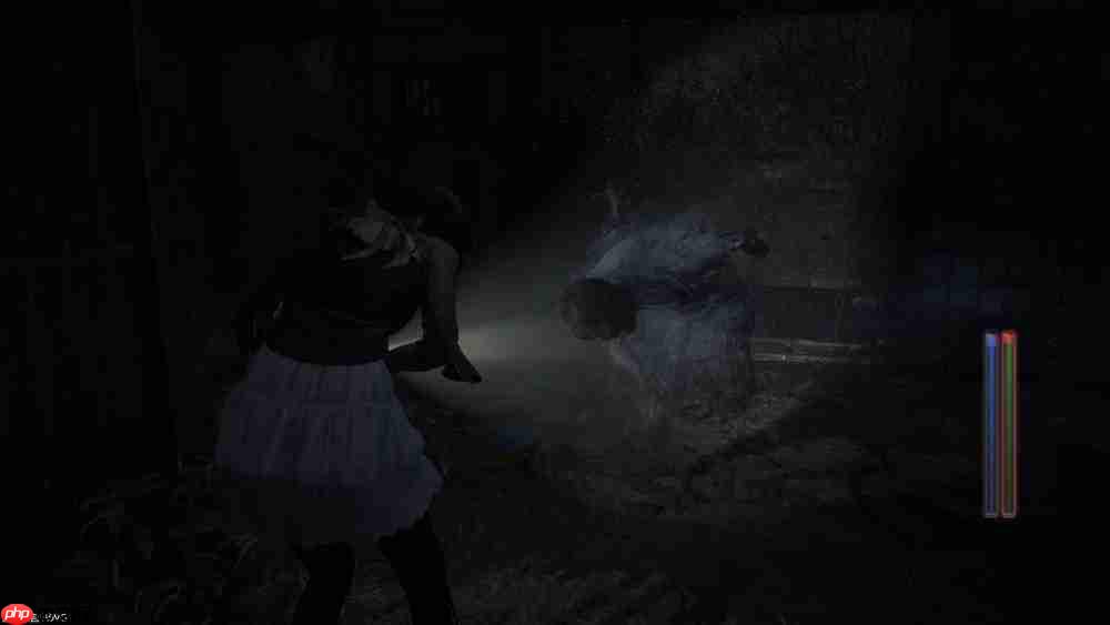 『零 ~红蝶~ REMAKE』2026年3月12日(四)发售决定 预购开放中