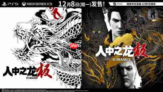 Switch2版《如龙极2》掉帧严重！连30帧都不稳